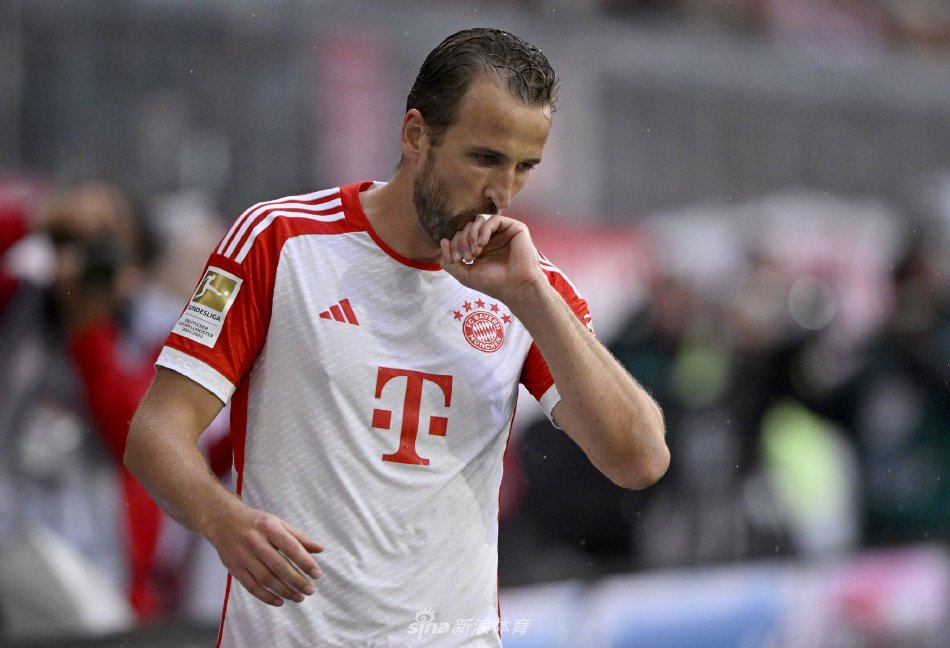 案例分析 案例分析